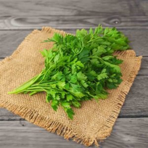 Coriander(Cleaned and Packed)