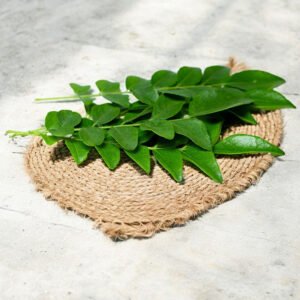 Curry Leaves